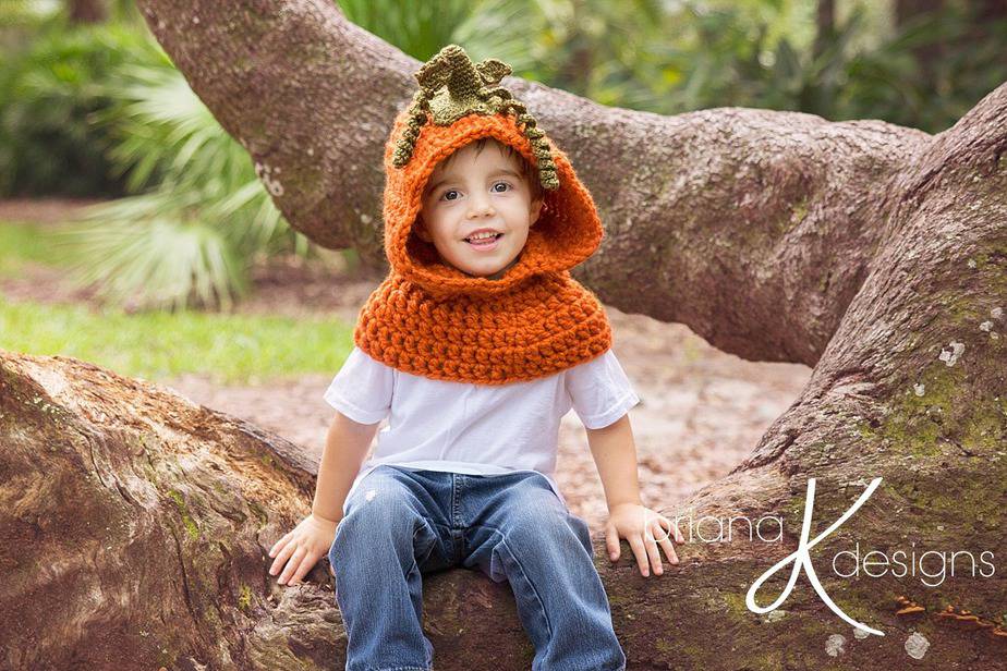 Pumpkin Hooded Crochet Cowl