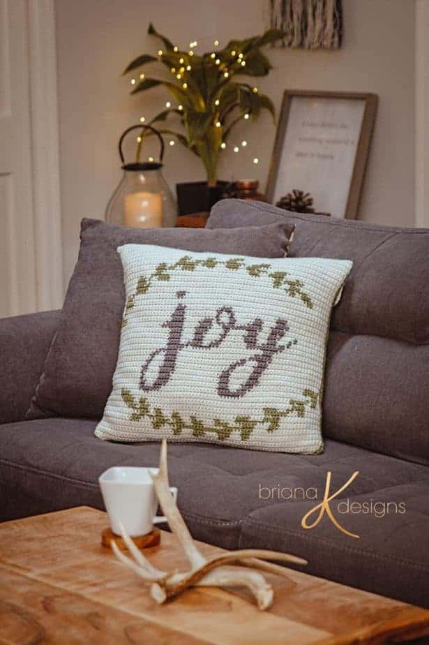 Joy Crochet Pillow