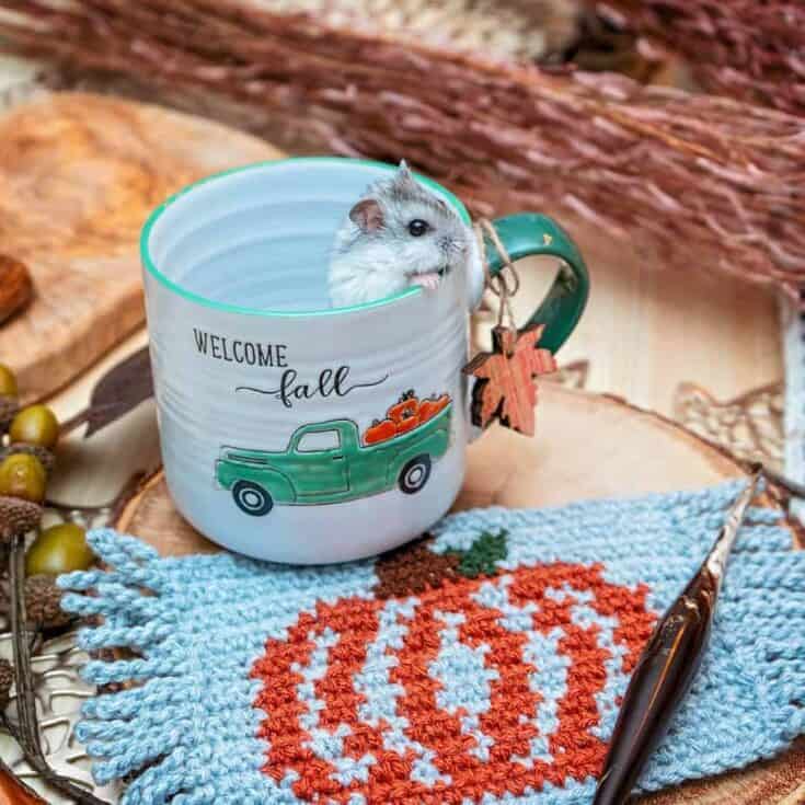 Pumpkin Mug Rug