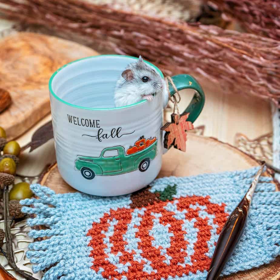 Pumpkin Knit & Crochet Mug Rug Free Patterns