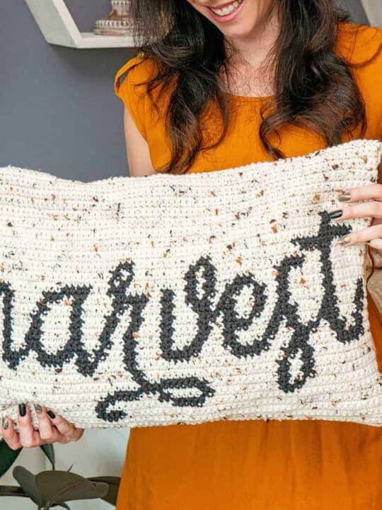 Harvest Crochet Pillow cover