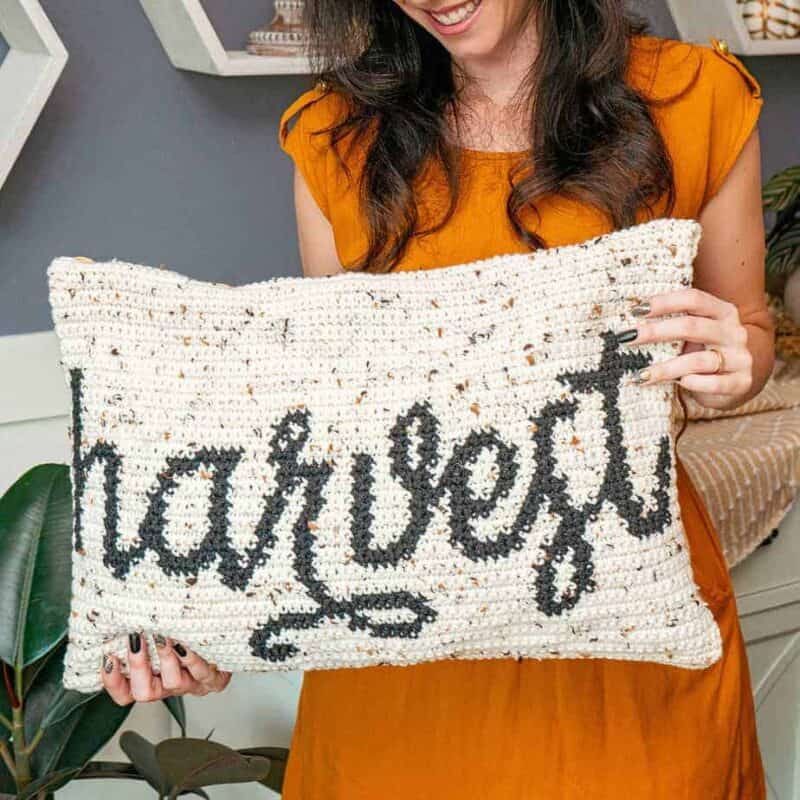 Harvest Crochet Pillow cover