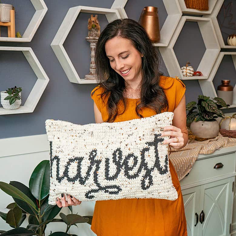 Harvest Free Crochet Pillow Pattern