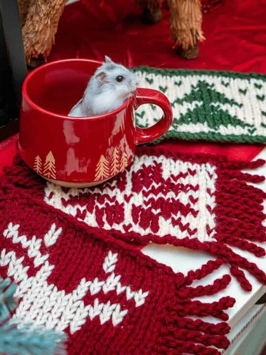 Holiday Mug Rug Knit