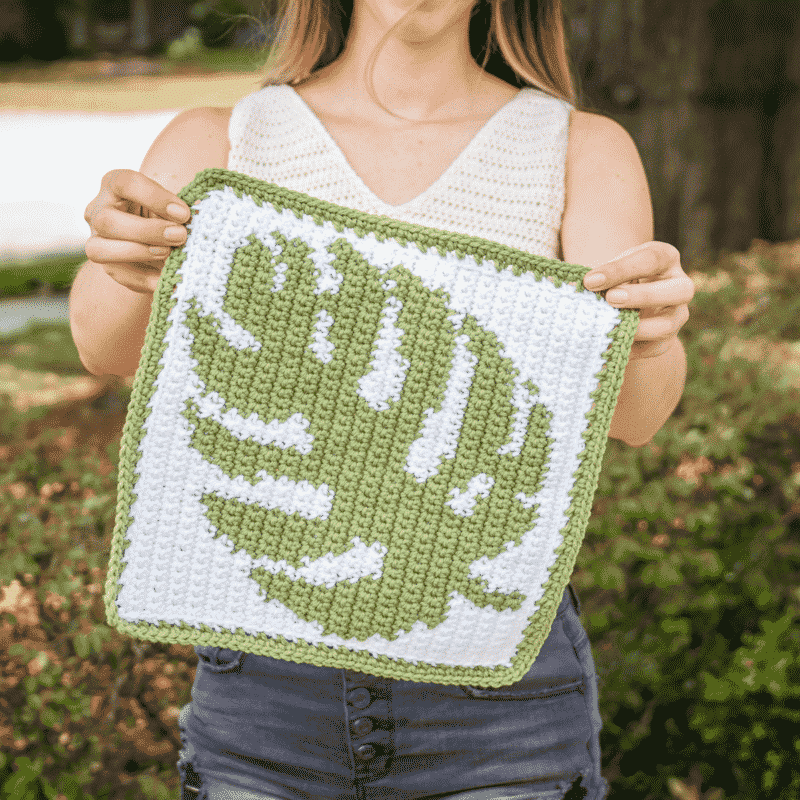 monstera crochet plant pattern