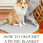 A small dog sits on a textured gray crochet blanket next to a woven basket indoors. Text below reads "How to crochet a Crochet Garden Blanket. Free Pattern.