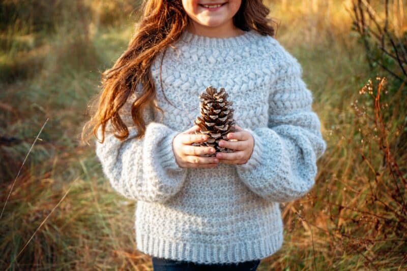 A little girl holding a pine cone in a field.