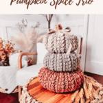 Three hand-crocheted pumpkins in brown, gray, and orange tones are stacked on a wooden stool. The image promotes a free crochet pattern and video tutorial for creating a "Pumpkin Spice Trio.