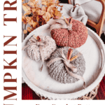 Three crocheted pumpkins in various colors sit on a round tray with autumn decor. The text reads "PUMPKIN TRIO" and "Free Crochet Pattern + Video Tutorial" with a web address "www.brianakdesigns.com".