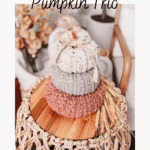 Image of a crafting guide titled "How to Crochet a Pumpkin Trio" featuring three crocheted pumpkins stacked on a woven stool. The guide offers a free pattern and video tutorial, with the URL www.brianakdesigns.com.