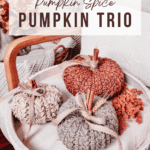 A tray displays three crochet pumpkins in different colors with cinnamon stick stems. Text reads: "Free Crochet Pattern + Video Tutorial," and "Pumpkin Spice Pumpkin Trio." 
.