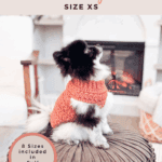 A small black and white dog wearing a crocheted red sweater sits on a round ottoman in a cozy living room near a fireplace; text advertises a crochet pattern and tutorial.