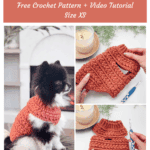 A small black and white dog wears a rust-colored crochet sweater. Two photos show close-ups of hands holding the sweater and crochet tools. Text promotes a free crochet pattern and video tutorial.