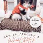 A small black and white dog wearing a crocheted orange sweater sits on a round cushion; text promotes a wheat stitch dog sweater crochet pattern and video tutorial.