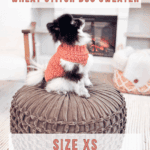 Small black and white dog wearing a red crocheted sweater sits on a round cushion in a cozy living room. Text advertises a free crochet pattern and video tutorial for a wheat stitch dog sweater.
