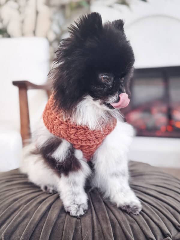 all ages nutrisource dog food NutriSource