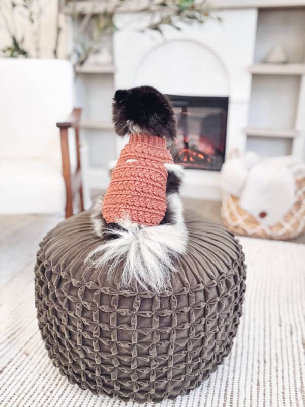 A small black and white dog wearing a red knit sweater sits on a textured ottoman, facing away toward a fireplace in a cozy living room.