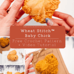 Collage showing hands holding a knitted yellow chick, crochet materials, finished chicks, and a card. Text reads: "Wheat Stitch™ Baby Chick Free Crochet Pattern + Video Tutorial.