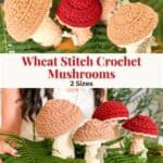 A person holds a group of crocheted mushrooms in two sizes, featuring red and tan caps, displayed with green fern leaves. Text reads "Wheat Stitch Crochet Mushrooms 2 Sizes.