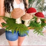 A person holds a tray with crocheted mushrooms in brown and red shades, arranged on fern leaves. Text at the bottom reads “Wheat Stitch Mushrooms www.brianakdesigns.com”.