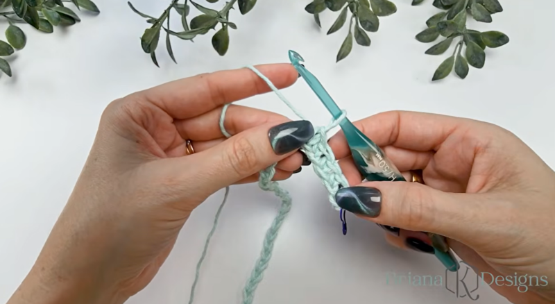 Hands holding a crochet hook and light blue yarn, demonstrating a crochet stitch with a leafy plant and white background.