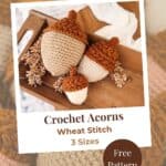 Three crocheted acorns in different sizes with brown tops and beige bases sit on a wooden tray, surrounded by small dried plants. Text on image advertises a free crochet pattern.
