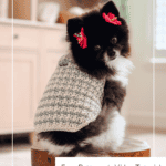 Small black dog wearing a crocheted houndstooth sweater, sitting on a wooden stool. Text: “XS Houndstooth Dog Sweater. Free Pattern + Video Tutorial.”.