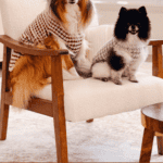 Two dogs in houndstooth crochet sweaters sit on a cream-colored armchair in a cozy, well-lit room.