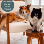 A Shetland sheepdog and a Pomeranian wearing matching houndstooth crochet sweaters, with text overlay for a free pattern and video tutorial.